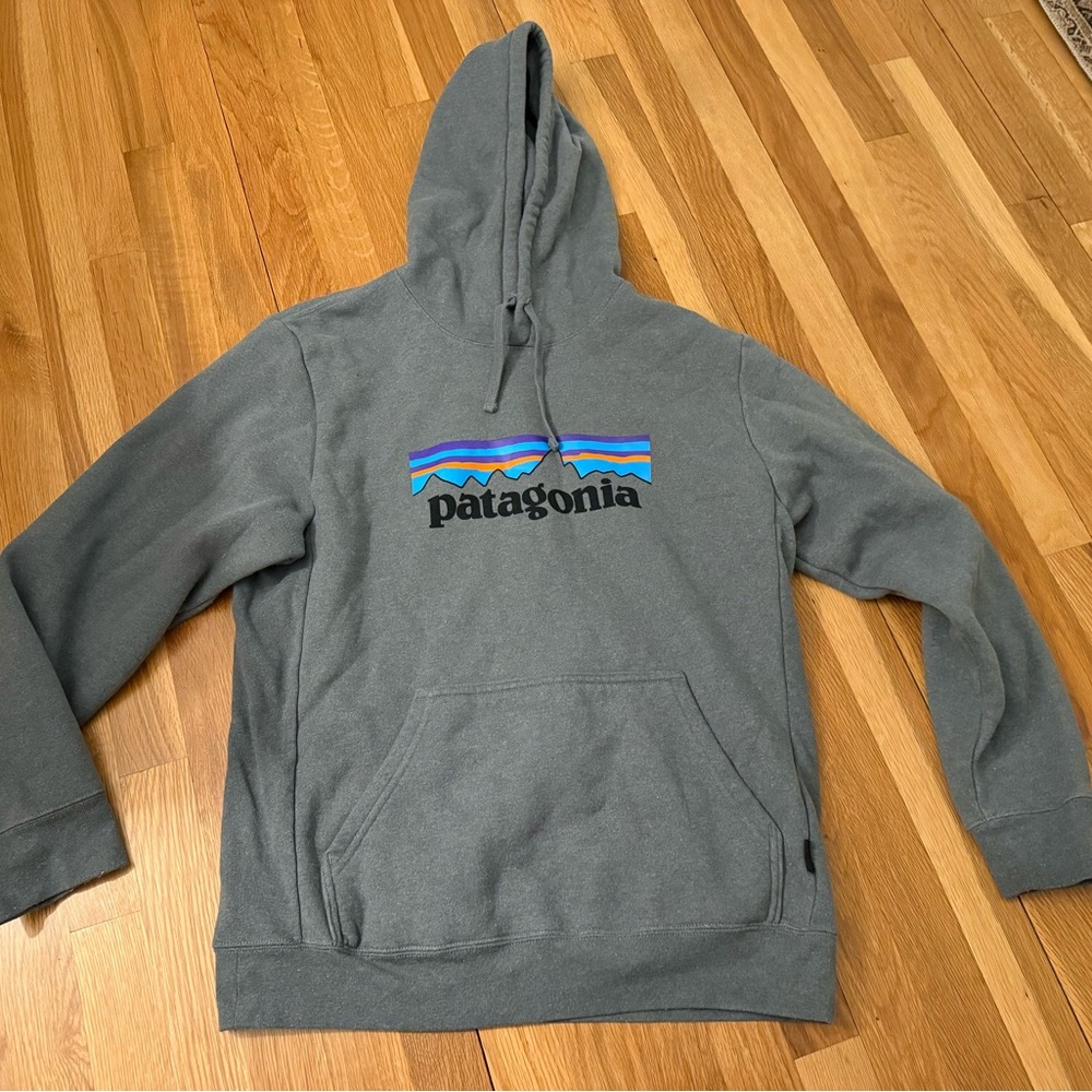 Patagonia Gray Women's Hoodie Hooded Sweatshirt
